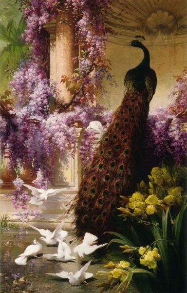 Eugene Bidau A Peacock and Doves in a Garden China oil painting art